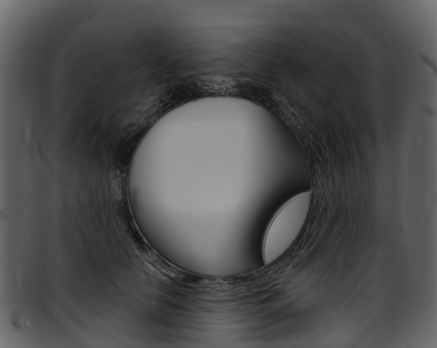 X0000097650658200802290847