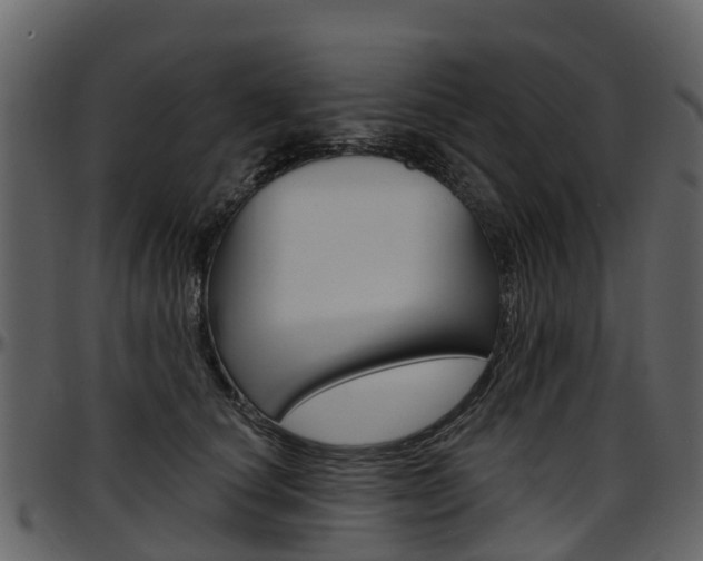 X0000097650660200802290847