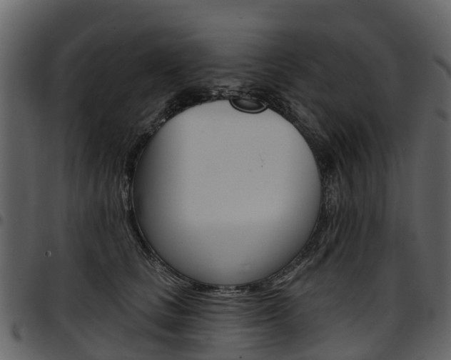 X0000097650661200802290847
