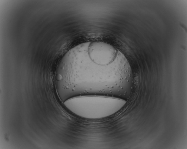 X0000097650662200802290847