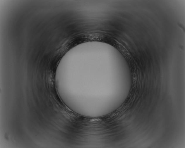 X0000097650663200802290847