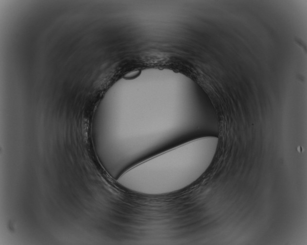 X0000097650664200802290847