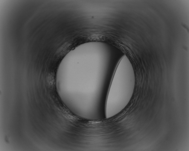 X0000097650665200802290847
