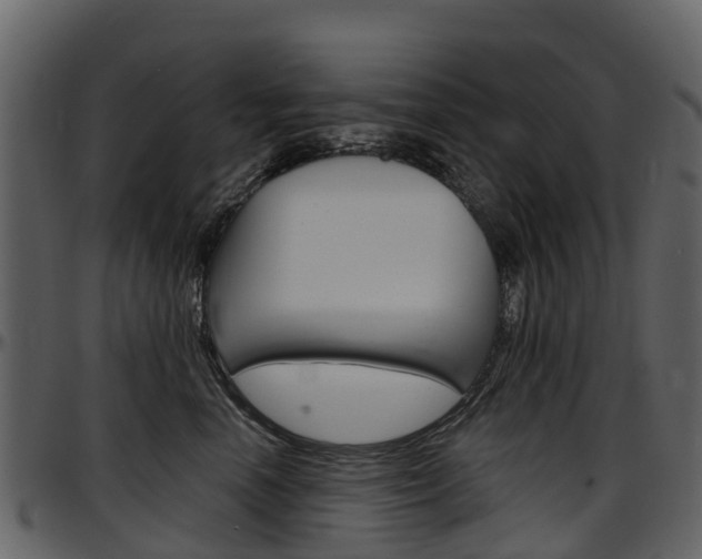 X0000097650666200802290847