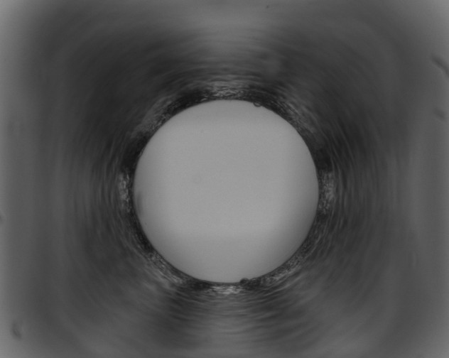 X0000097650667200802290847