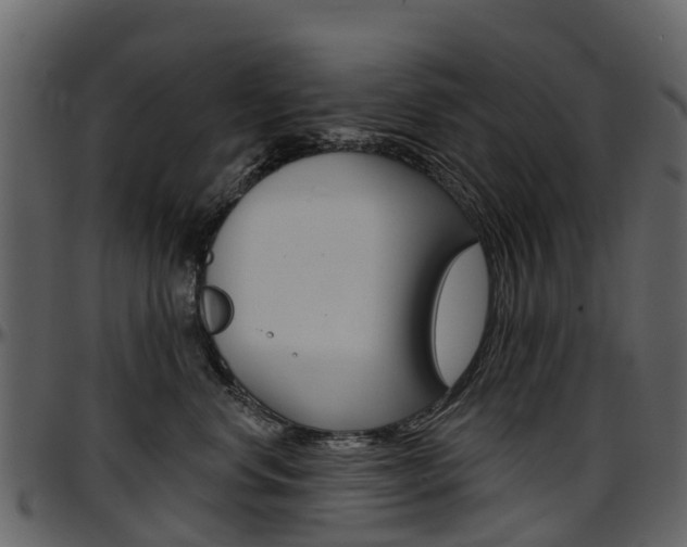 X0000097650668200802290848