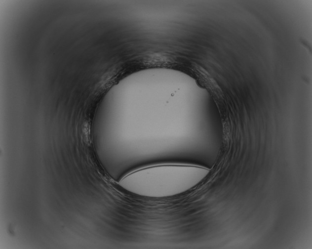 X0000097650669200802290848
