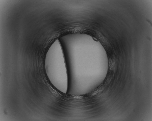X0000097650670200802290848