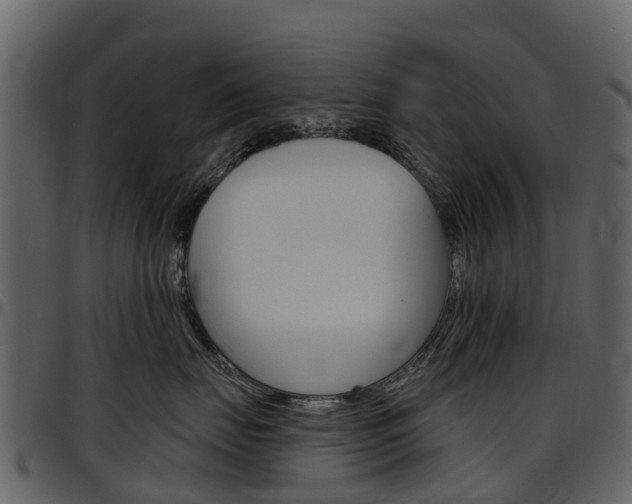 X0000097650671200802290848