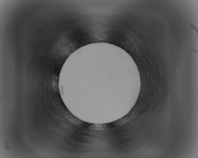 X0000097650672200802290848