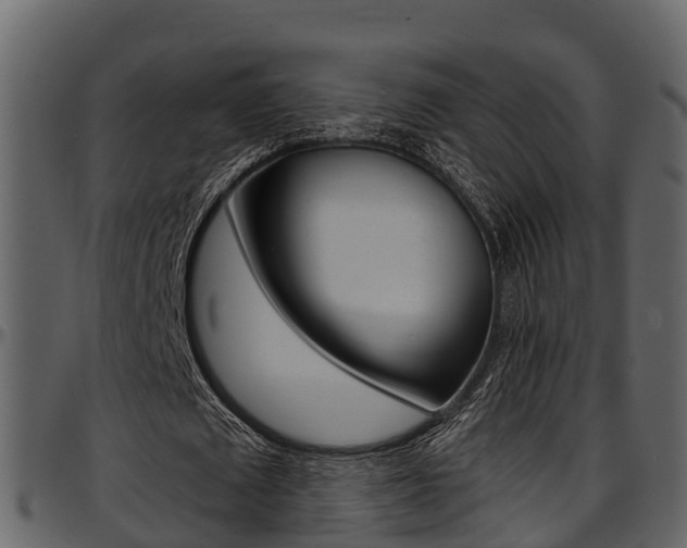 X0000097650673200802290847