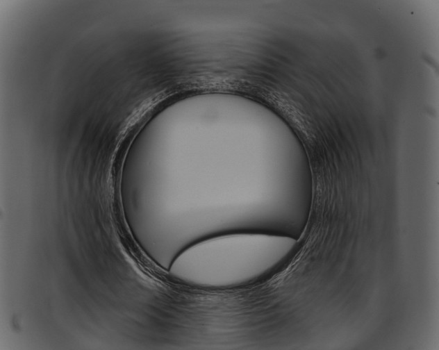 X0000097650674200802290847