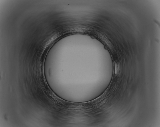 X0000097650675200802290847