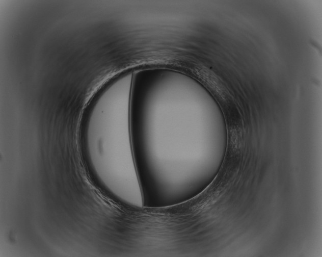 X0000097650676200802290847