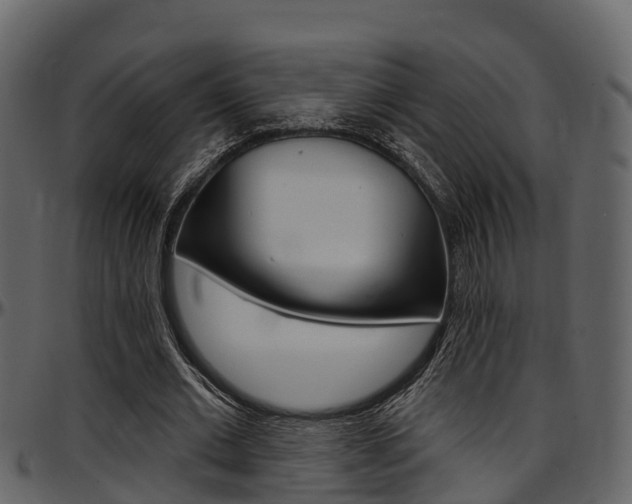 X0000097650677200802290847