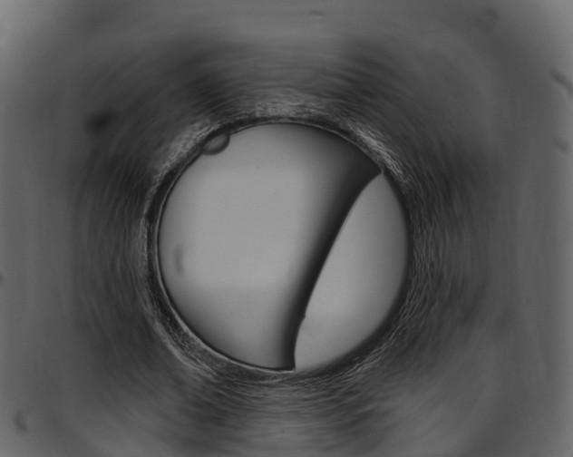 X0000097650678200802290847