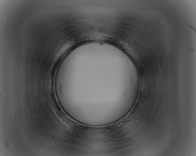X0000097650679200802290847