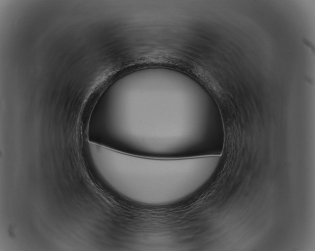 X0000097650680200802290847