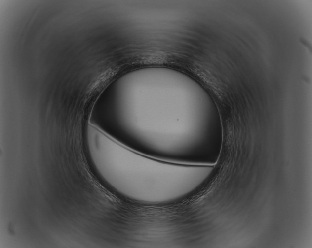 X0000097650681200802290847