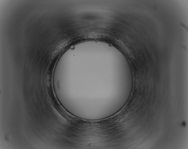 X0000097650683200802290847