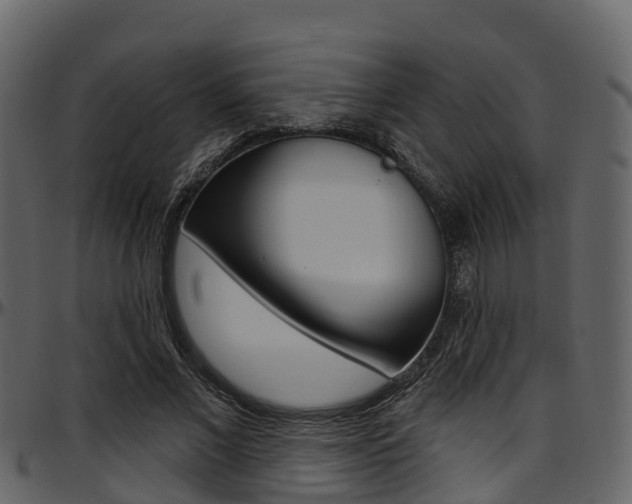 X0000097650685200802290847