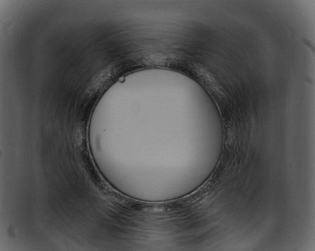 X0000097650687200802290847