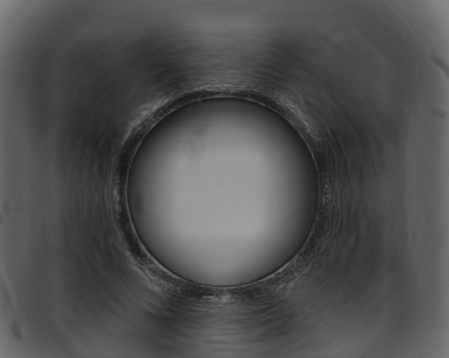 X0000097650688200802290847