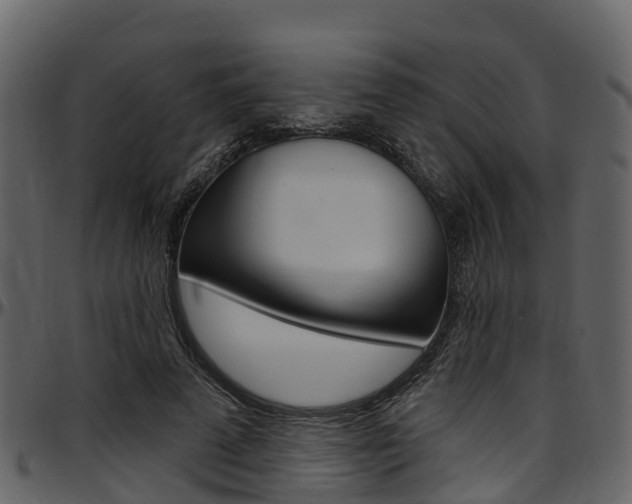 X0000097650689200802290847