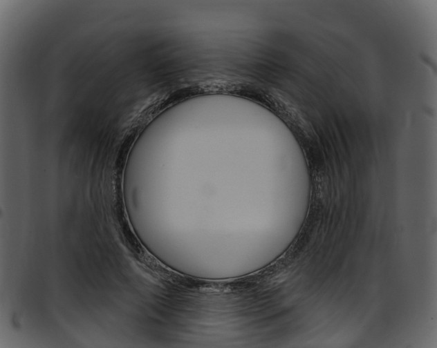 X0000097650690200802290847