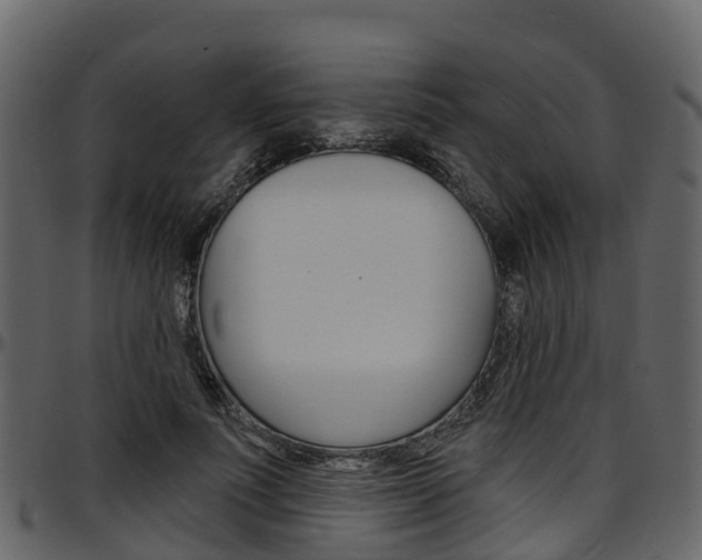 X0000097650691200802290847