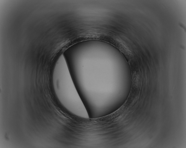 X0000097650692200802290847