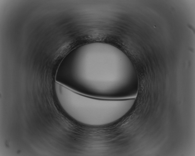 X0000097650693200802290847