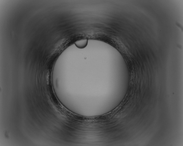 X0000097650694200802290847