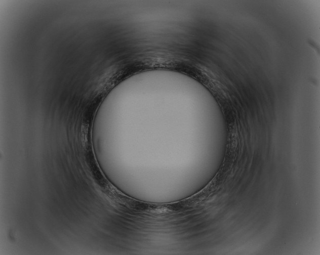 X0000097650695200802290847