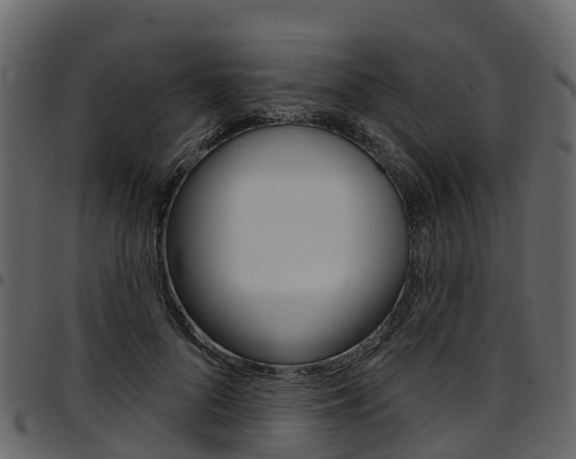 X0000097650696200802290847