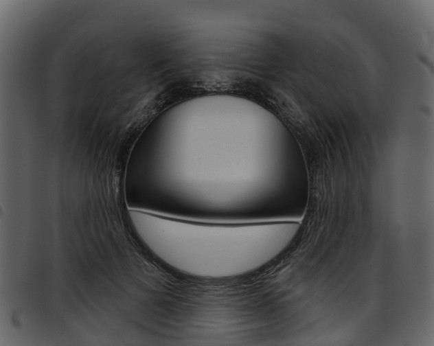 X0000097650697200802290846