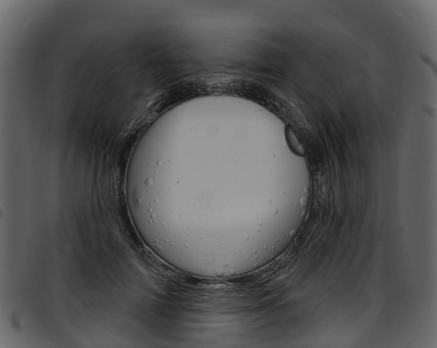 X0000097650698200802290846