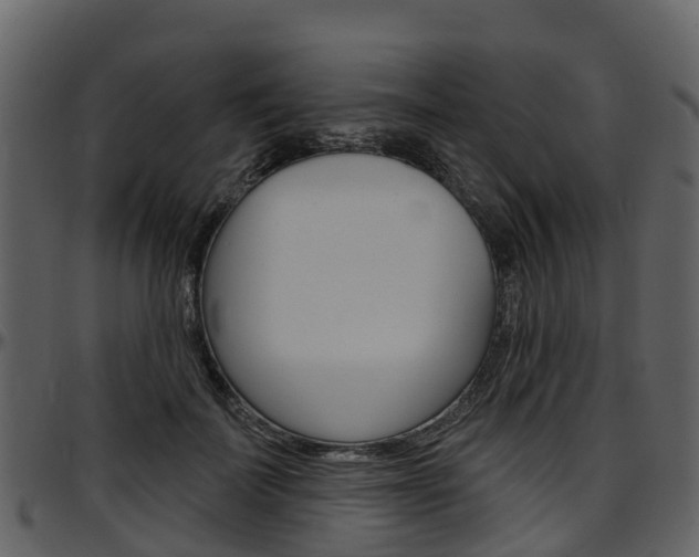 X0000097650699200802290846