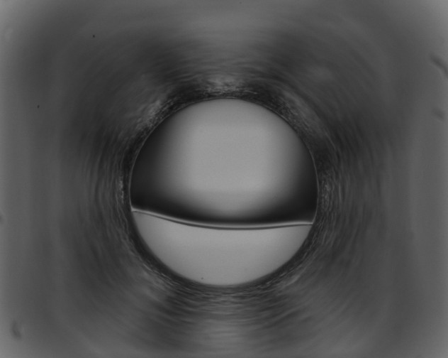 X0000097650700200802290846