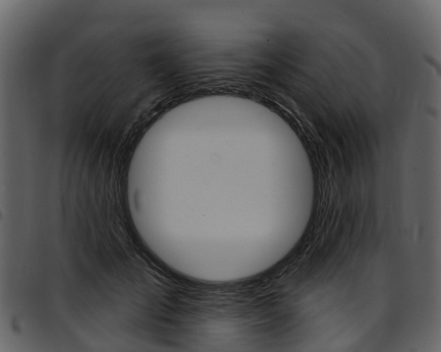 X0000097650701200802290846
