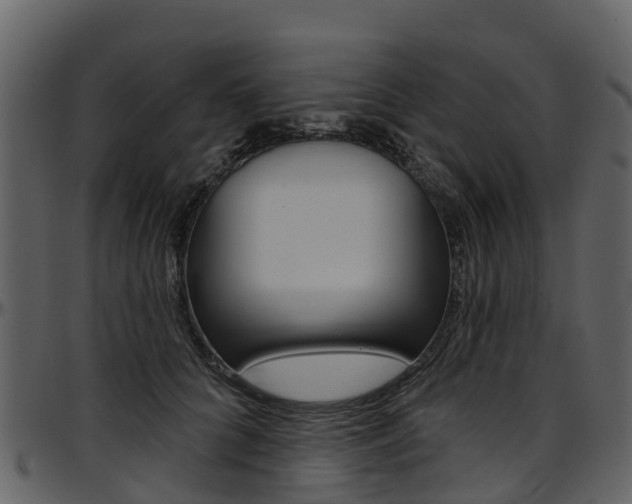X0000097650704200802290846