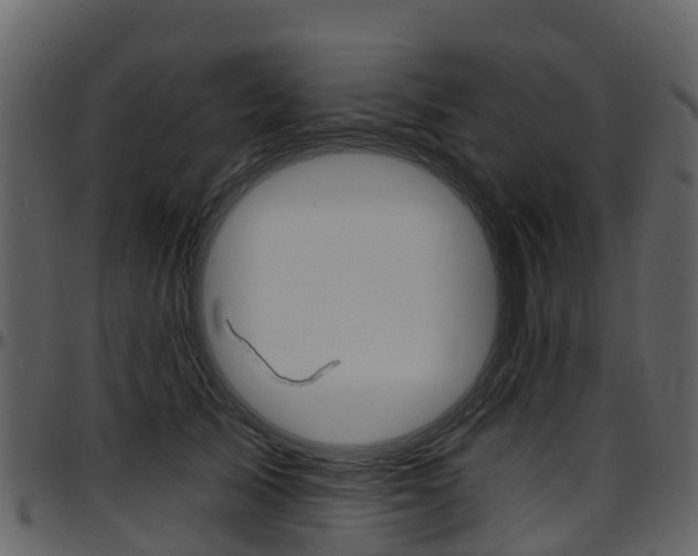 X0000097650705200802290846