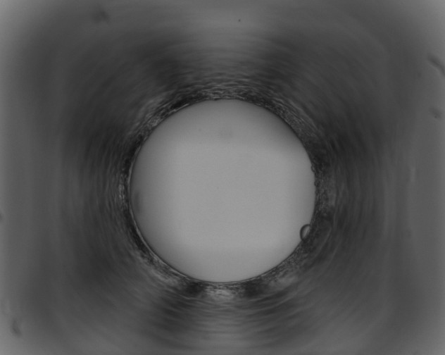 X0000097650706200802290846