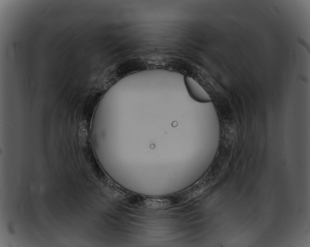 X0000097650707200802290846