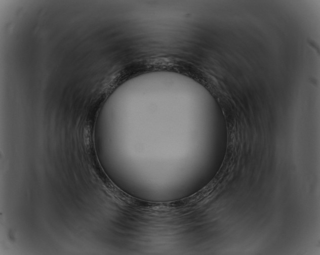 X0000097650708200802290846