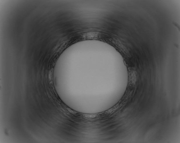 X0000097650709200802290846
