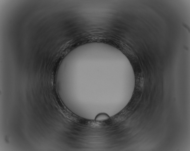 X0000097650710200802290846