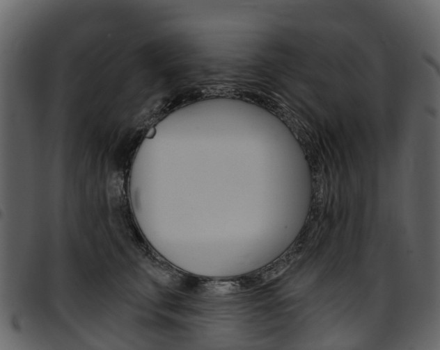 X0000097650711200802290846