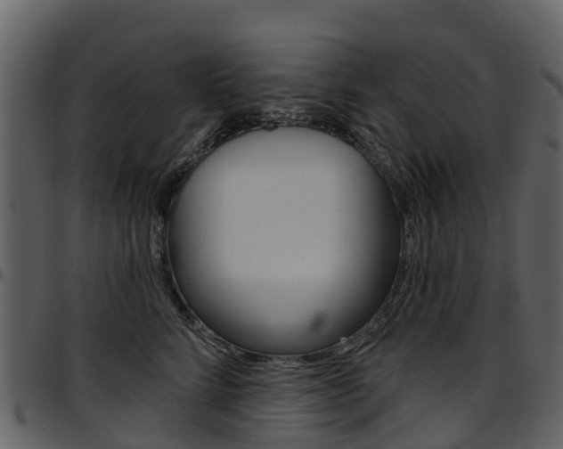 X0000097650712200802290846