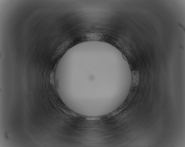 X0000097650713200802290846